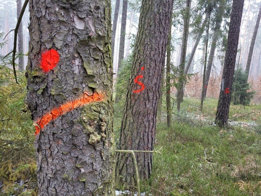 Nie tylko mieszkańców Dobrodzienia niepokoi skala...