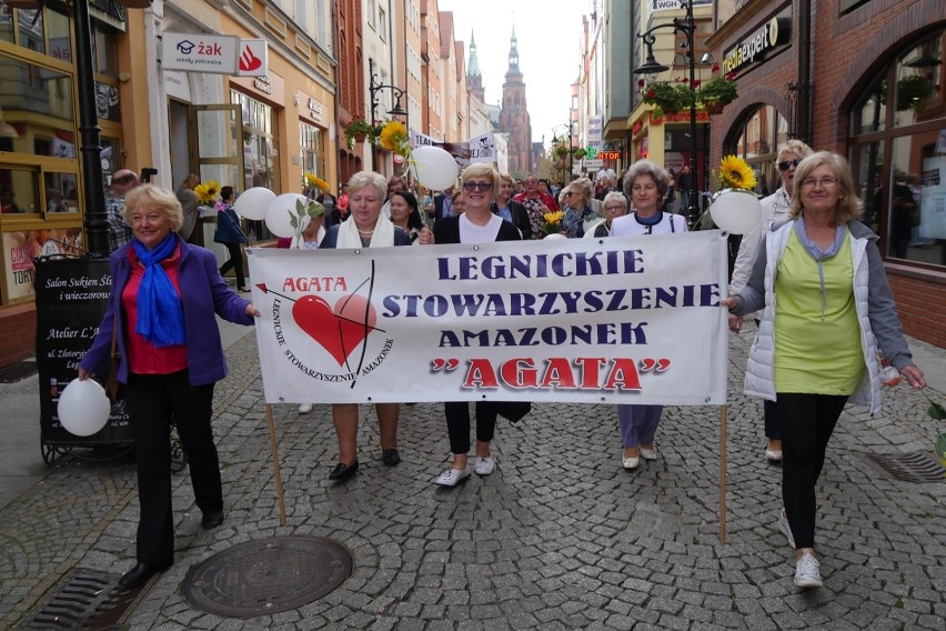 Towarzystwo Miłośników Legnicy wznawia organizację imprez! Wraca FLOP i Legnicka Jesień Miedziana. Poznaj szczegóły!