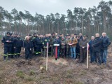 Gmina Brzeziny. Strażacy-ochotnicy posadzili las dla przyszłych pokoleń ZDJĘCIA