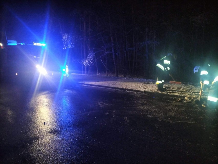 Drzewo powalone na jezdnię w Beleniu usuwała OSP Zapolice