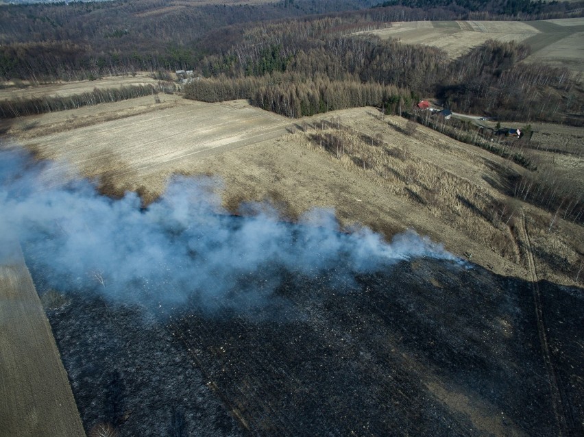 Pożar traw w Sąspowie (pow. krakowski), 14 marca