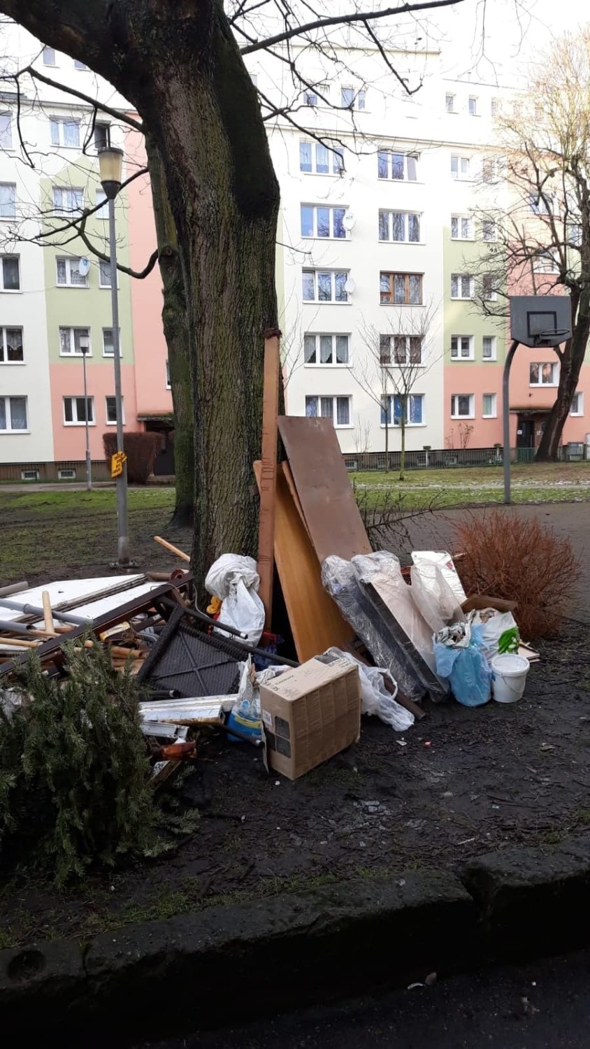 Dwaj mieszkańcy Kołobrzegu dostali słone mandaty za zaśmiecenie miasta 