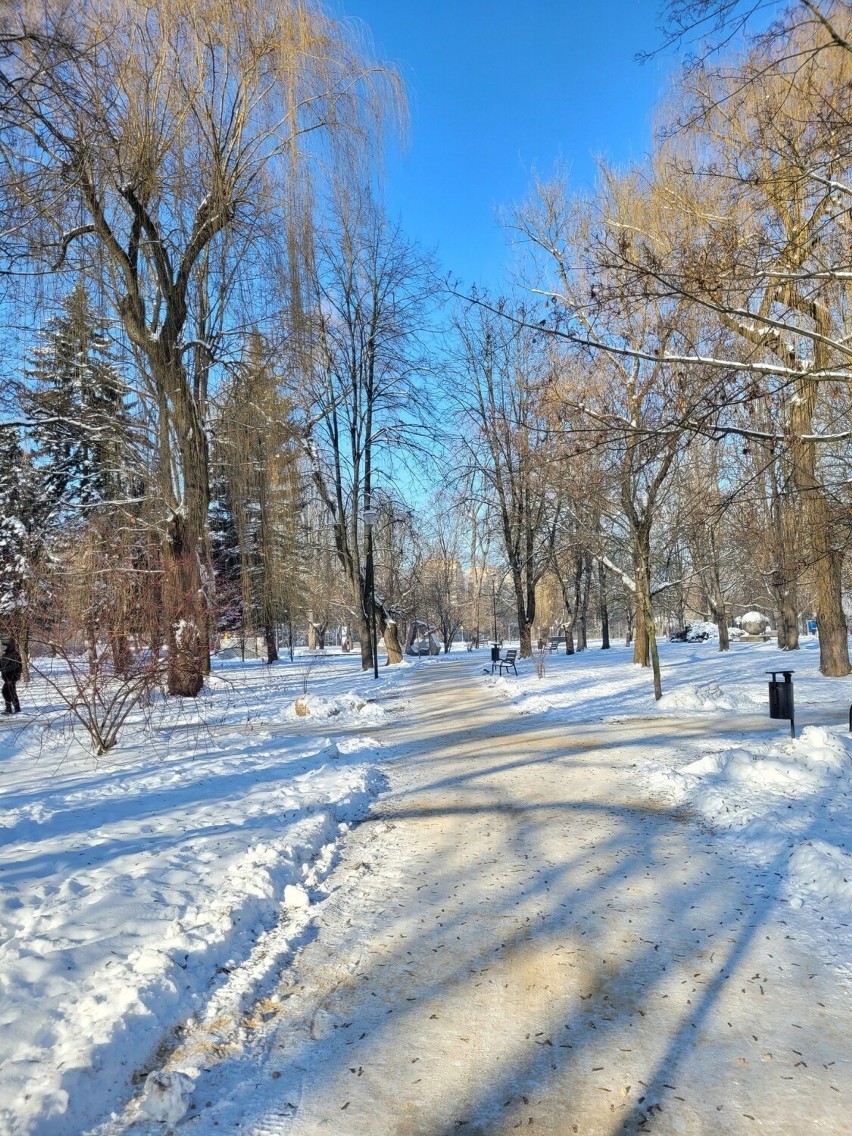 W tym krakowskim parku im. Stanisława Wyspiańskiego każdy znajdzie coś dla siebie. Zachwyca nawet zimą!