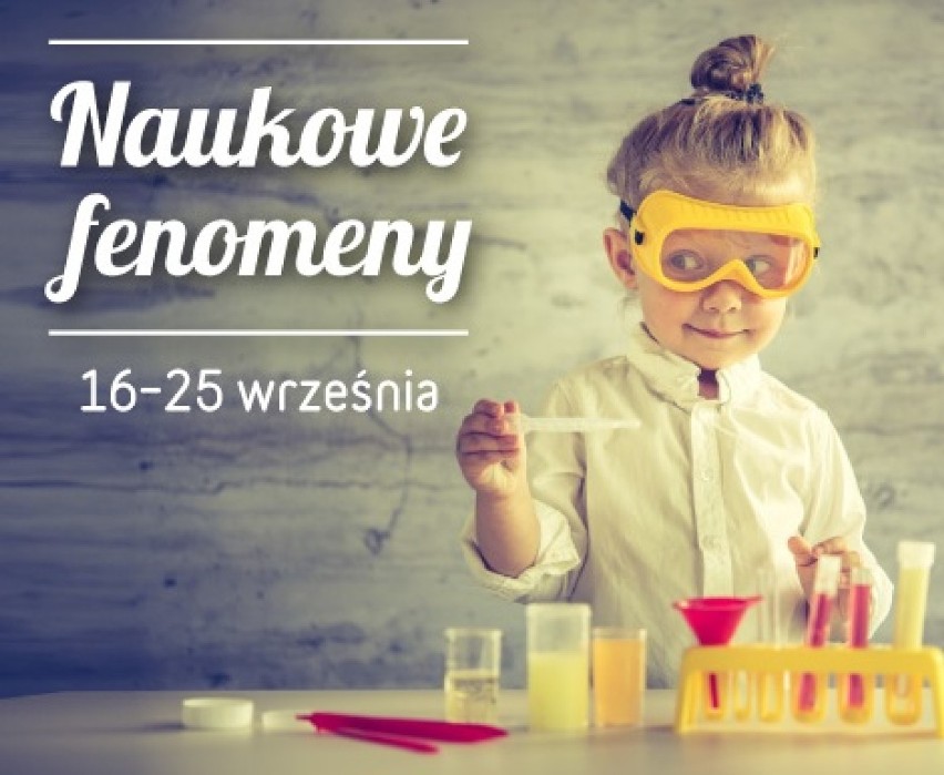 Naukowe fenomeny

piątek - niedziela
16-25 września
Poznań...