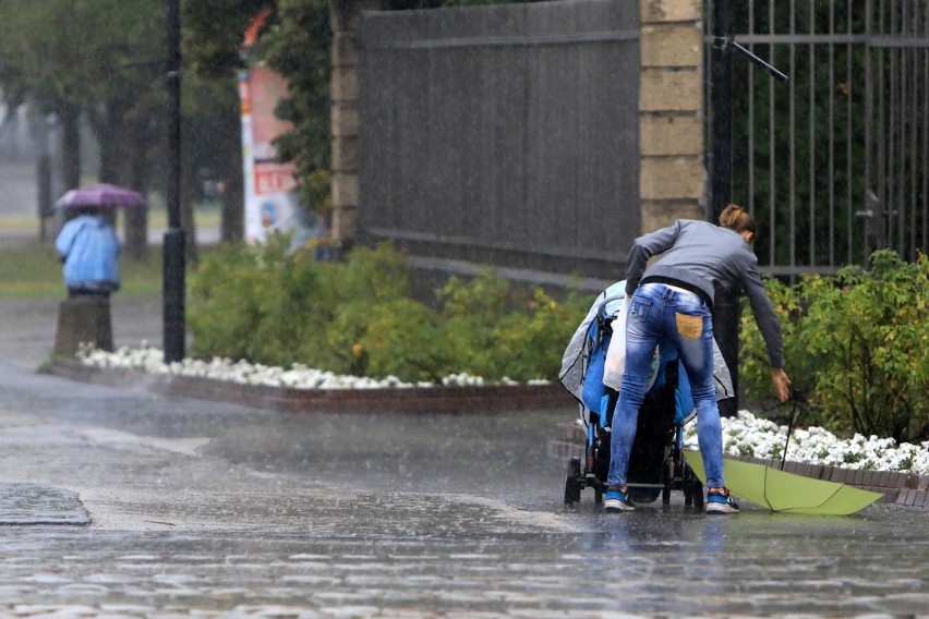 Niestety dzisiaj przez cały dzień będzie pochmurno i...