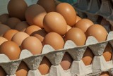 Ile kosztują jajka w lutym 2024? Sprawdzamy ceny wiejskich i tych z marketu. Co oznaczają numery na skorupkach?