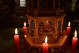 Świąteczna iluminacja w Pokazowej Zagrodzie Żubrów w Pszczynie