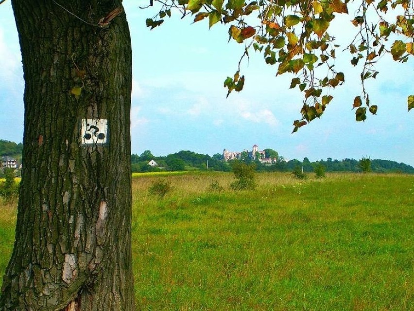 Wyprawa do „orlego gniazda” Alwernia, Regulice (2 km) Rudno...