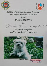 Nowy Dwór Gdański. Pomoc dla porzuconych zwierząt