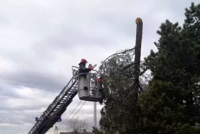 Uwaga na silny wiatr w powiatach: bielskim, żywieckim, cieszyńskim.