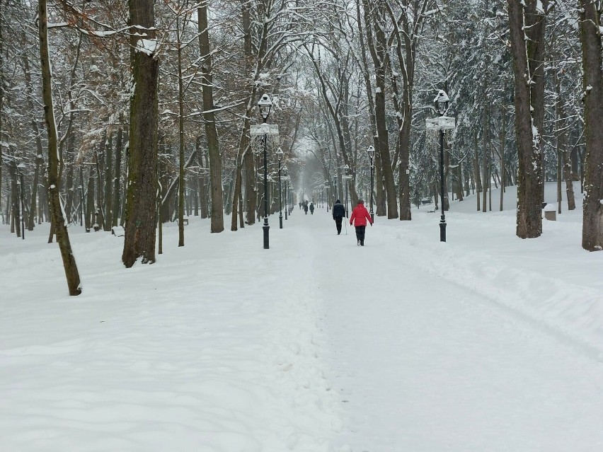 Zima w Busku-Zdroju. Tak wyglądają oklice Parku Zdrojowego....
