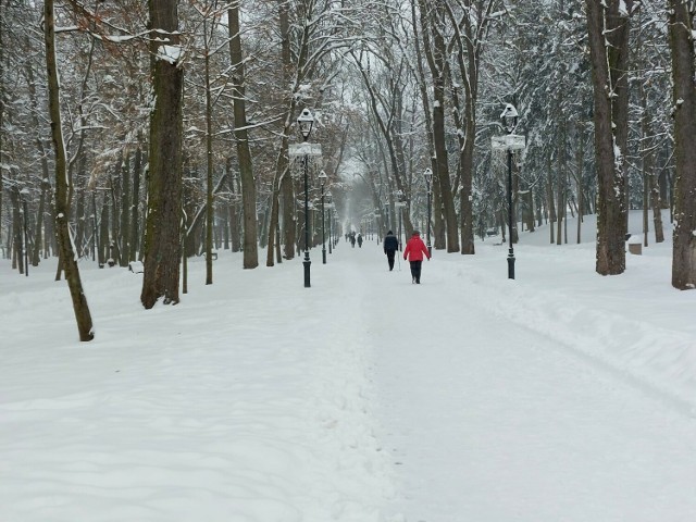 Zima w Busku-Zdroju. Tak wyglądają oklice Parku Zdrojowego. >>>Więcej na kolejnych slajdach