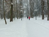 Busko-Zdrój pod śniegiem. Zima zawitała do miasta. Tak wygląda Park Zdrojowy