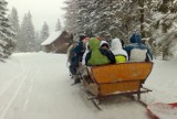 Morskie Oko. Turyści nie doczekali się na transport