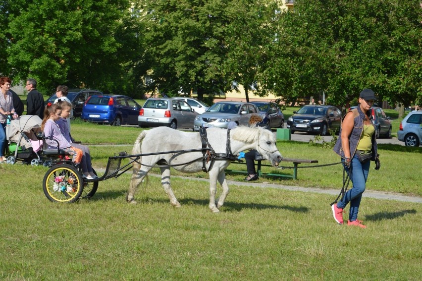 Mieszkańcy ani pogoda nie zawiedli, a  przygotowanych dla...