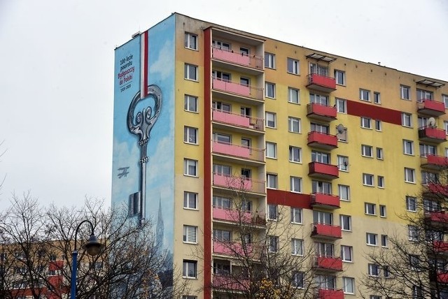 Okolicznościowy mural można oglądać na jednej ze ścian wieżowca przy ul. Karpackiej 39 c