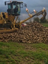 Malbork. Cukrownia już po kampanii i przed wielką inwestycją. A plantatorzy nie powiedzieli ostatniego słowa, jeśli chodzi o plony