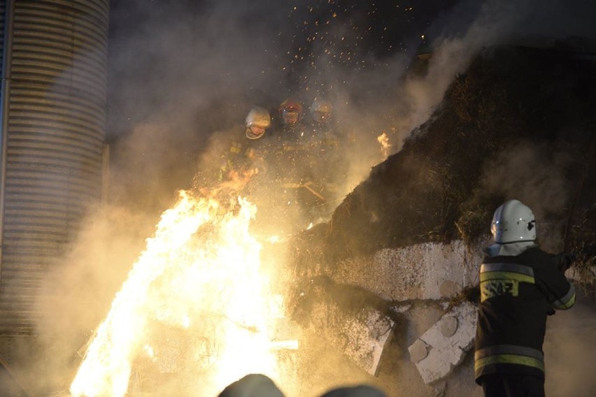 Pożar kurnika wypełnionego słomą w miejscowości Złotopole [zdjęcia]