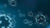 USA: odkryto nowy wariant koronawirusa. R.1 ma zwiększoną odporność na przeciwciała, które dają szczepionki