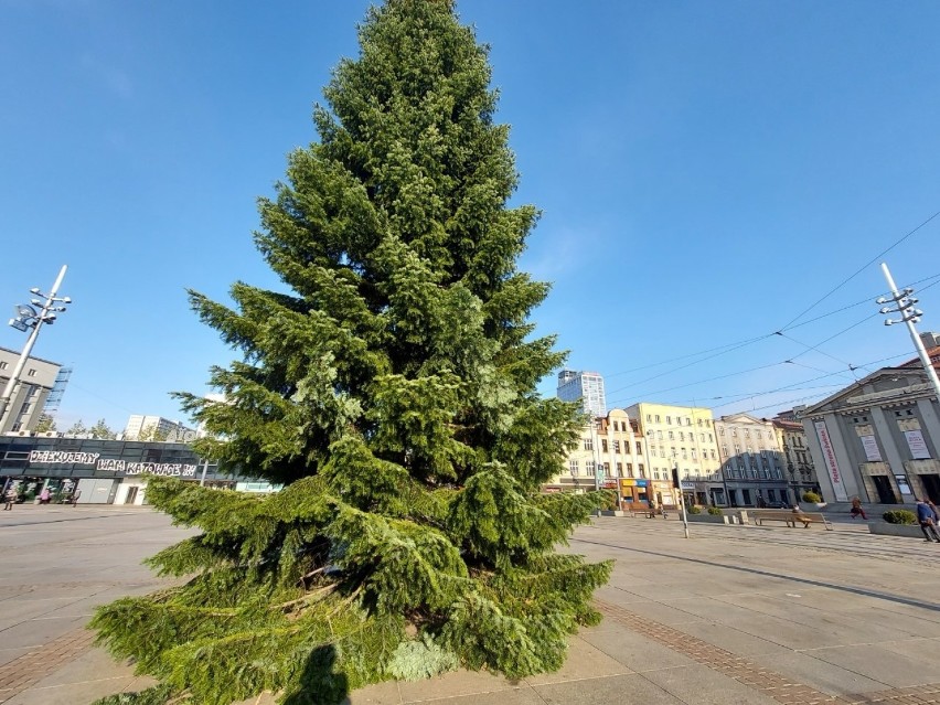 Choinka na rynku w Katowicach