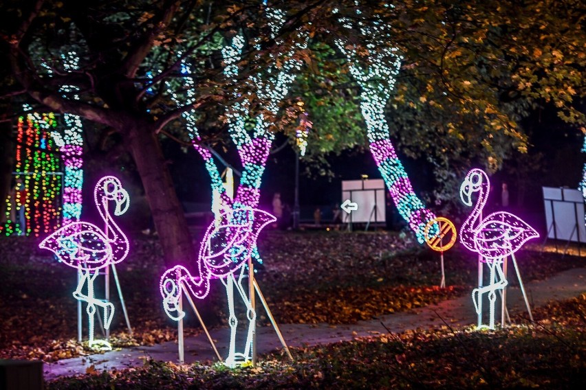 Ogród Świateł zawitał do Gdyni! A wraz z nim magiczny świat...