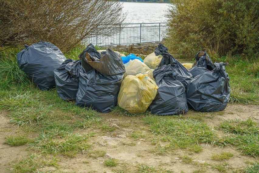 Wolontariusze posprzątali brzegi Jeziora Rożnowskiego,...