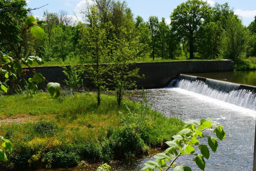 Legnicka Niagara uroczym miejscem na skraju miasta