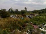 Koszęcin: Leśnicy walczą z dzikimi śmieciami
