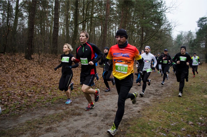 Półmaraton Szakala 2015. Pobiegnij w Lesie Łagiewnickim