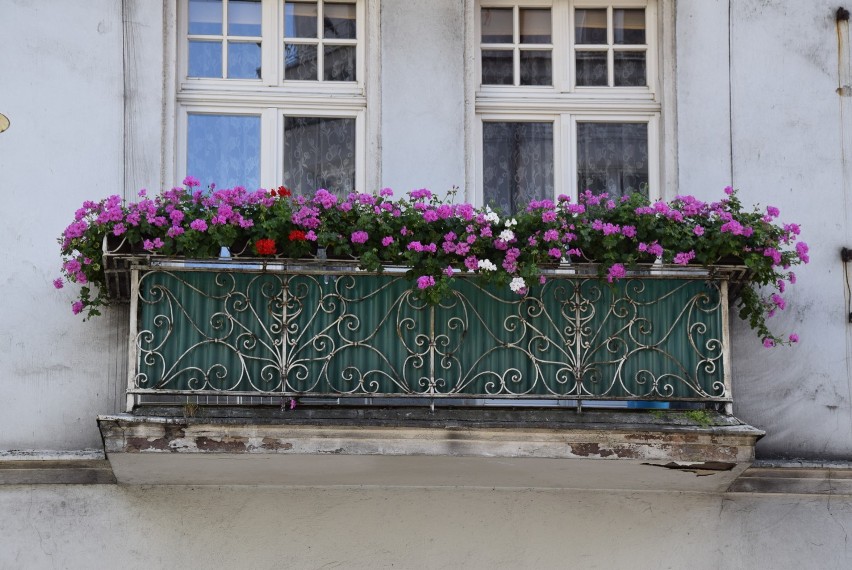 Zobacz najpiękniejsze balkony i loggie w Kaliszu