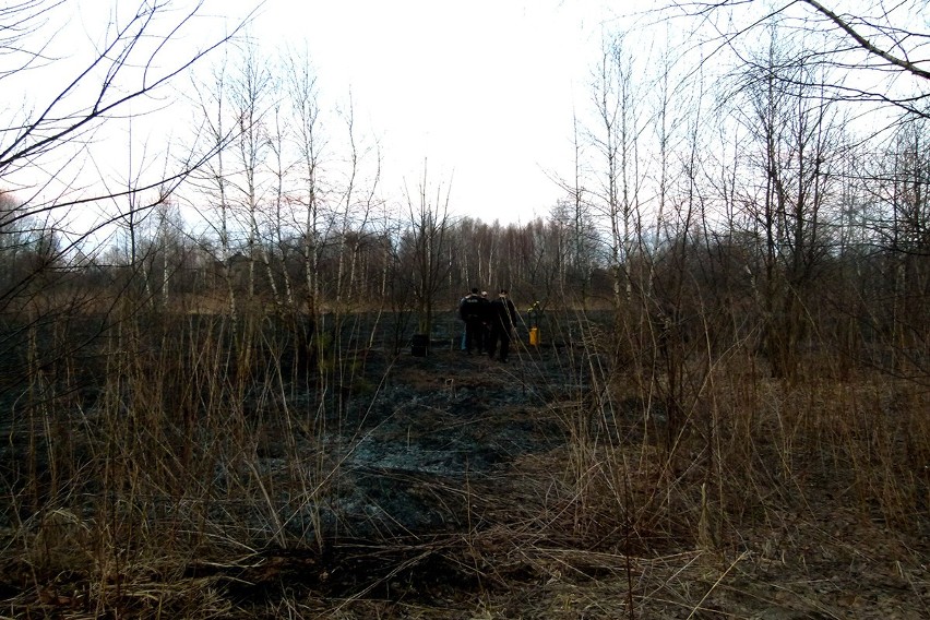 Pożar traw w Łodzi. Jedna osoba nie żyje