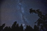 Perseidy 2016: tegoroczny deszcz meteorytów będzie wyjątkowo aktywny