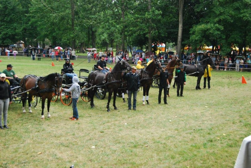 Stowarzyszenie "Luzak" w Nowym Tomyślu