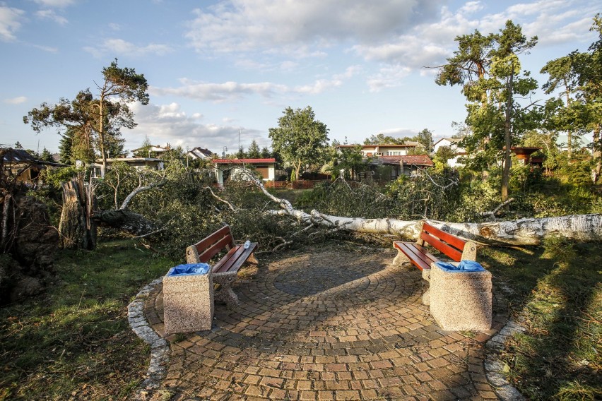 14.08.2017 bory tucholskie, powiat chojnicki, miejscowosc...