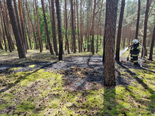 Czy doszło w tym miejscu do dwóch podpaleń? Sprawę bada nowotomyska policja.
