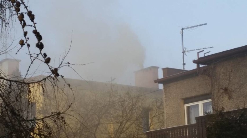 WYJŚCIE SMOGA - radomszczańscy pogromcy smoga robią dobrą...