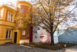 Mural Kory w Warszawie. Na jesień okryły go złote liście. Dzieło zmienia się wraz z porami roku