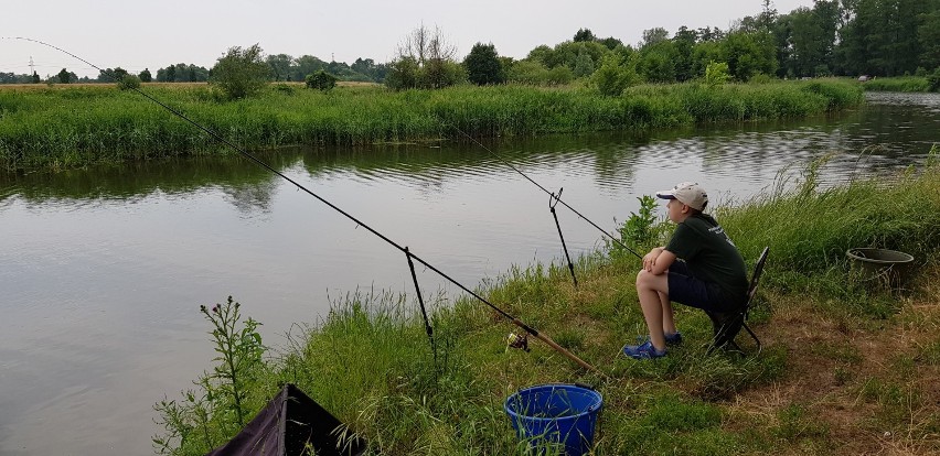 Wędkarski IV Maraton o Puchar Urzędu Miasta Kalisza. ZDJĘCIA