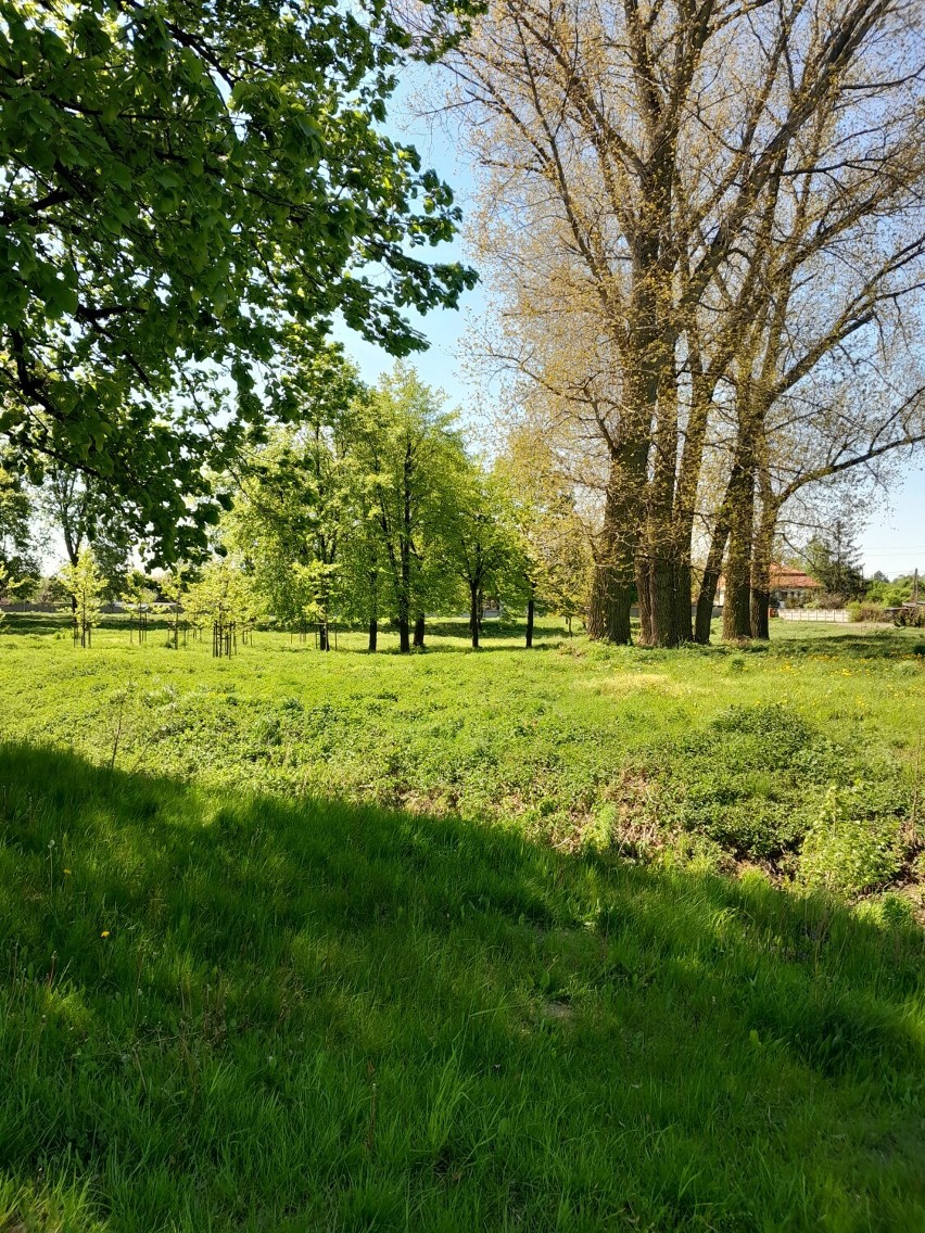 Ten zaniedbany teren między ulicami Sieradzką a Kaczą ma...