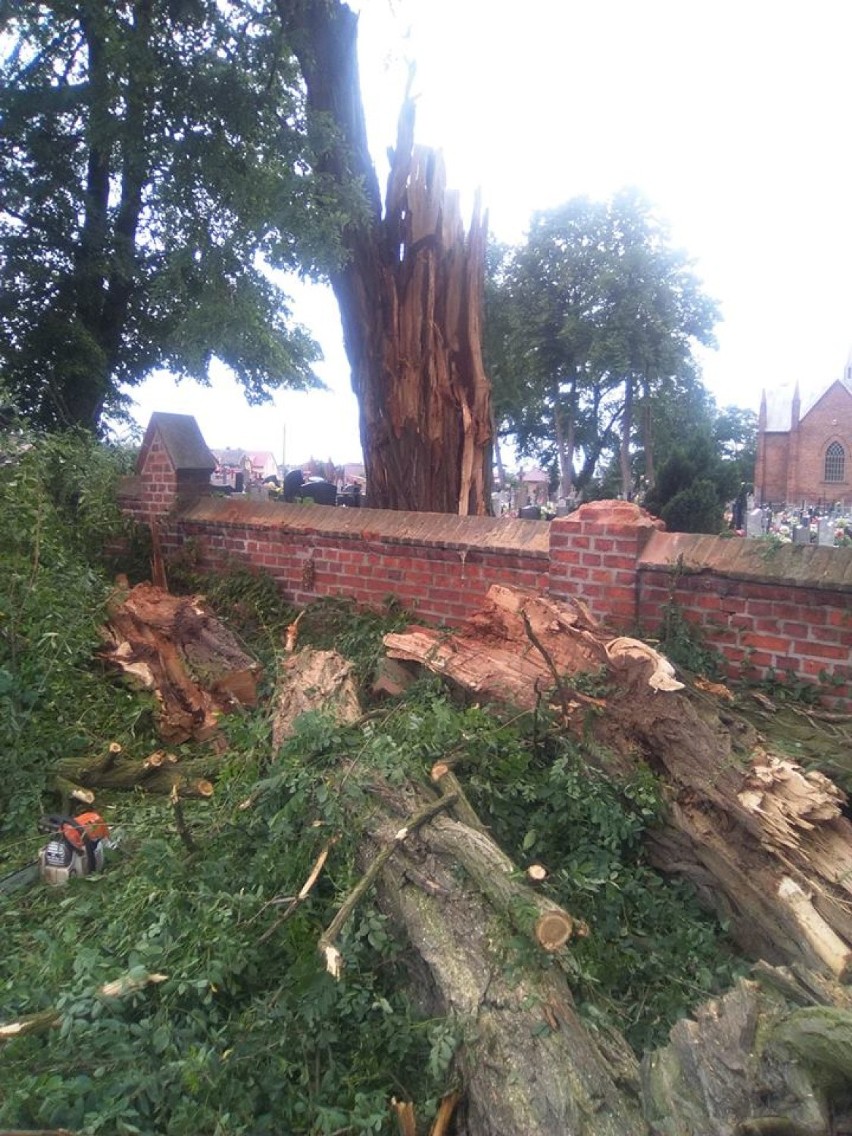 Kościelec: Powalone drzewo na cmentarzu parafialnym