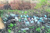 Życie po śmieciach: W Imielinie przy zalewie śmiecą na potęgę