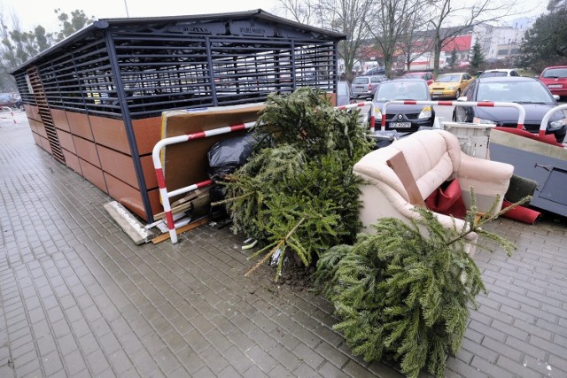 Drzewka w donicach można także dostarczać do siedziby Zarządu Zieleni Miejskiej przy ul. Strzegomskiej 3 w Poznaniu, od poniedziałku do piątku w godzinach od 8.00 do 14.00. Akcja potrwa do 20 stycznia.