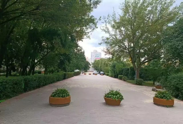 Tak wyglądała wyremontowana promenada przy ul. Piskorskiej w sierpniu ubiegłego roku, gdy pochwalił się nią toruński Miejski Zarząd Dróg.