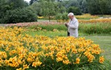 Parki i Ogród Botaniczny w Łodzi znów otwarte! Wyjątkiem park Klepacza