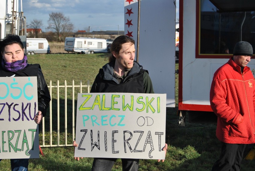 Protest pod Cyrkiem Zalewski w Kościanie. Walczyli o zwierzęta