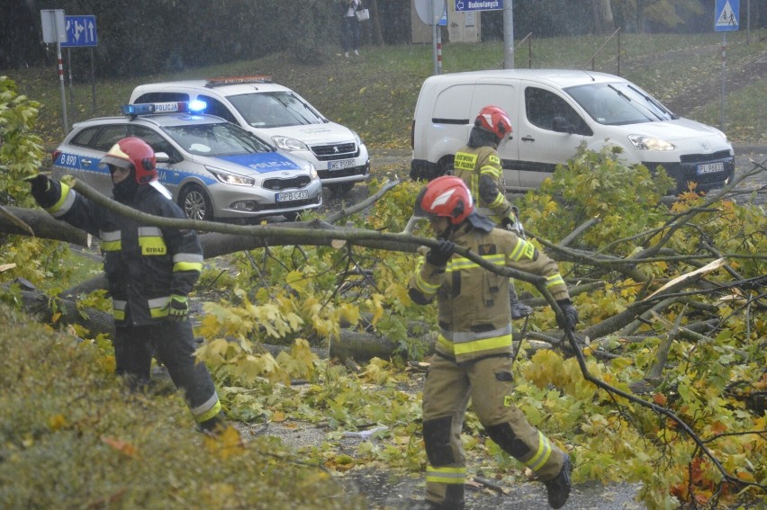 To efekt wichury nad Głogowem