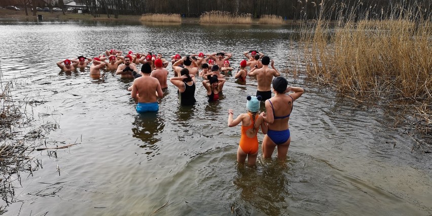 Morsowali na Piaskach. Do sympatyków zimnych kąpieli w Ostrowie Wielkopolskim wciąż dołączają nowe foczki i morsy!