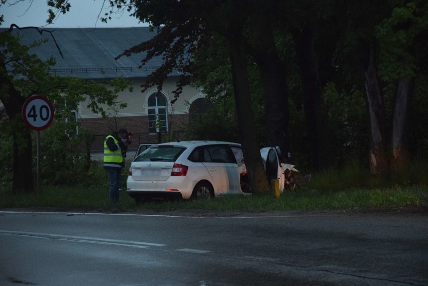 Malbork. Wypadek na DK 55 u zbiegu ul. Głowackiego i 500-lecia [ZDJĘCIA]. Kierowca trafił do szpitala po uderzeniu w drzewo