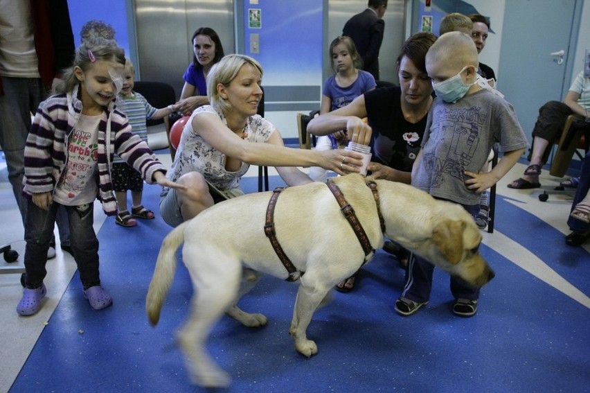 Psi terapeuci z Gdyni odwiedzili dzieci na Oddziale Onkologii Gdańskiego Uniwersytetu Medycznego