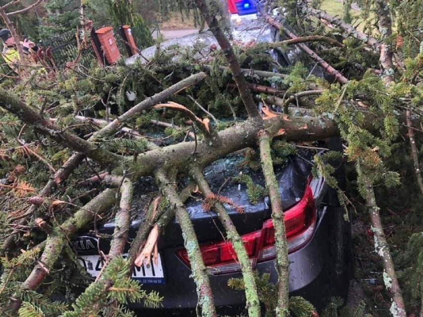 Wichura na Pomorzu [19.02]. Powalone drzewa, przerwy w dostawie prądu. Służby mają ręce pełne roboty!